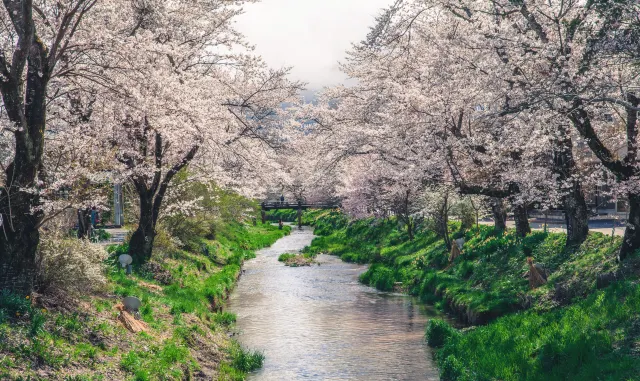 日本山梨縣景點,日本旅遊,日本景點 @潔絲蜜愛生活